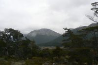 P1040993